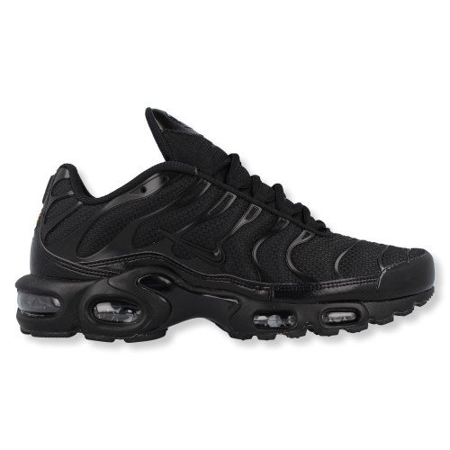 Nike Air Max Plus TN (604133-050) [1]