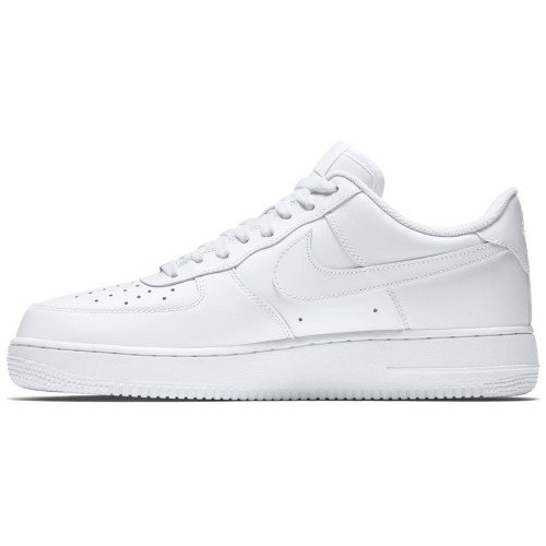 Nike Air Force 1 '07 (315122-111) [1]