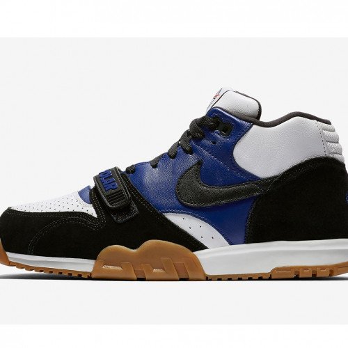 Nike Polar Skate Co x Nike SB Air Trainer 1 (CI6892-001) [1]
