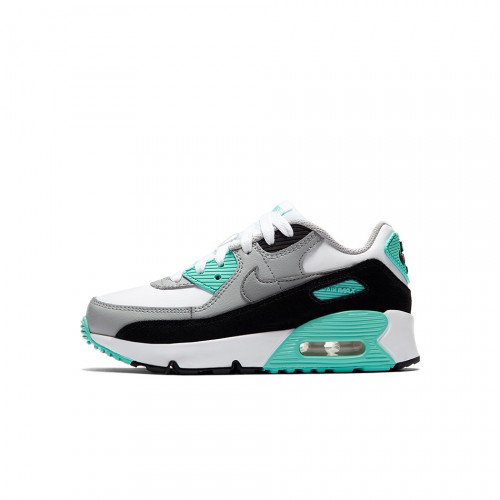 Nike Air Max 90 (PS) (CD6867-102) [1]