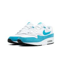 Nike Women's Air Max 1 (319986-117)