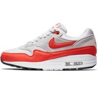 Nike WMNS Air Max 1 (319986-035)