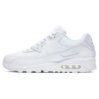 Nike Air Max 90 Essential (537384-111)