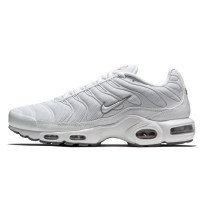Nike Air Max Plus TN (604133-139)