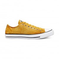 Converse Summer Daze Chuck Taylor All Star-Low Top (170859C)
